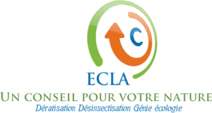  Rats, souris, frelons, insectes rampants… Ces nuisibles mènent la vie dure à votre habitat ? Contactez ECLA, votre entreprise de dératisation et de désinsectisation en Loire-Atlantique : La Remaudière, Nantes, Ancenis, etc.